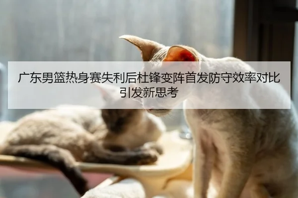 广东男篮热身赛失利后杜锋变阵首发防守效率对比引发新思考
